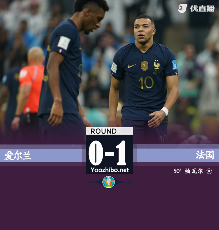 法国1-0爱尔兰 帕瓦尔世界波制胜迈尼昂神扑