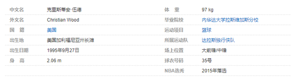克里斯蒂安-伍德个人详细资料简介：