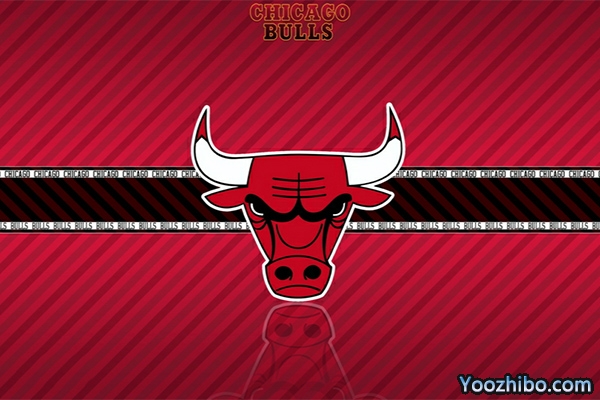 2001-2002赛季<a href=/basketball/zibo/bulls/ target=_blank class=infotextkey>公牛</a>队球员名单阵容一览