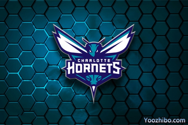 2019-2020赛季<a href=/basketball/zibo/hornets/ target=_blank class=infotextkey>黄蜂</a>队队徽